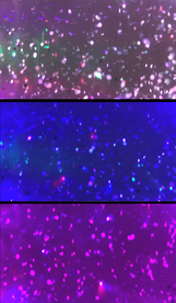 炫彩粒子飞舞背景