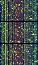 竖线粒子光斑背景视频