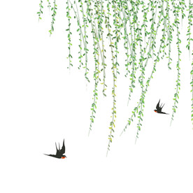 柳树小鸟卡通元素