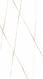 金丝根线条 黑白根大理石纹理