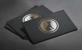 品牌logo金银名片样机