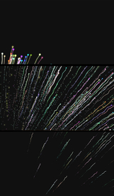 彩色粒子线条背景视频