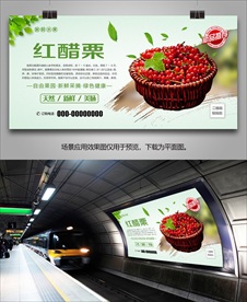 醋栗展板易拉宝单页展架海报灯箱