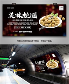 桂圆灯箱单页挂画易拉宝展板展架