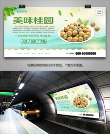 桂圆易拉宝海报单页灯箱挂画展架