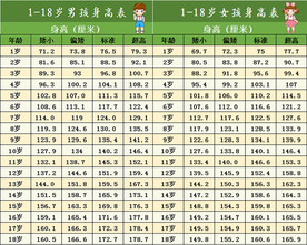 儿童新版身高比例