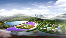 生态园 农家乐景观