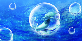 保护江豚水生动物公益海报背景