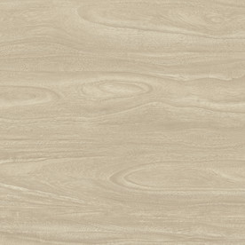 主人房地板木纹 300分辨率