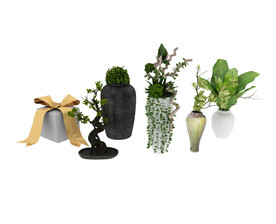 花瓶植物3d模型