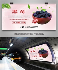 新鲜黑莓海报展板挂画单页灯箱