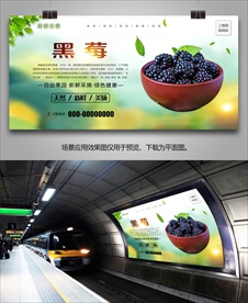 新鲜黑莓展架单页海报灯箱展板