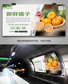 桔子挂画单页易拉宝展板灯箱展架