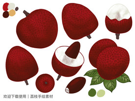 荔枝手绘素材