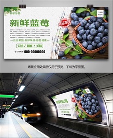 蓝莓展板挂画单页易拉宝海报灯箱