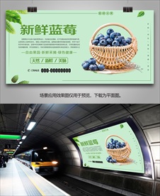 蓝莓展架单页易拉宝海报灯箱挂画
