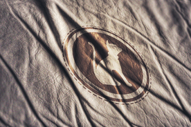 品牌logo布料样机