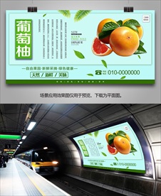 葡萄柚灯箱挂画展架易拉宝展板