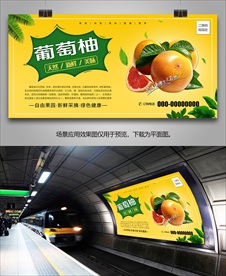 葡萄柚灯箱单页挂画海报展架展板