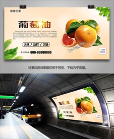 葡萄柚海报易拉宝展板单页展架