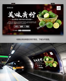 青柠海报单页易拉宝灯箱展板展架