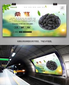 桑葚灯箱单页展板海报易拉宝展架