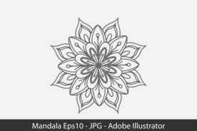 花卉线稿设计练习