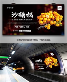 沙糖桔展架单页海报易拉宝展板