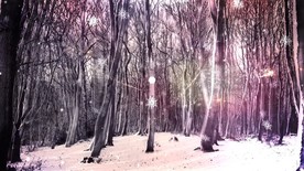 AE模板+PR预设 冬天下雪图