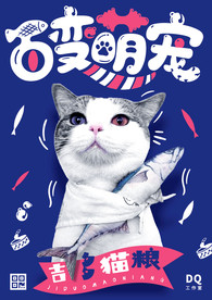 猫咪海报