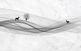 线条电视背景墙