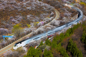 开往春天的列车