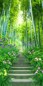 清新竹林小路古道玄关