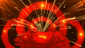 华丽喜庆牡丹大花 舞美背景视频