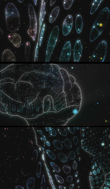 抽象光点大脑形状医疗素材