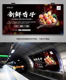 杏海报易拉宝灯箱展架展板单页