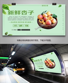 杏展板挂画易拉宝单页展架灯箱