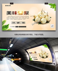 雪梨展架挂画灯箱海报易拉宝单页