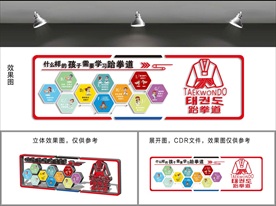 跆拳道文化墙