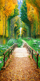 林间小路玄关3D壁画