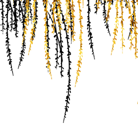 植物装饰垂柳元素