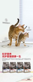 猫粮海报