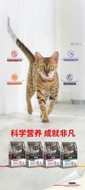猫粮海报