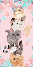 卡通猫咪萌宠公主皇冠玄关装饰画