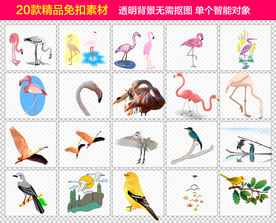 飞禽免抠素材