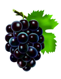 葡萄