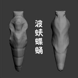 波蛱蝶蛹3D模型
