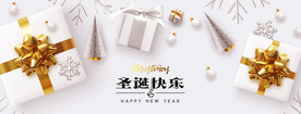 圣诞礼品卡