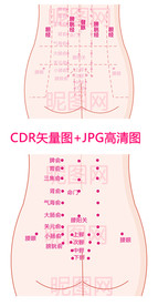 女性后背筋络穴位图