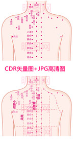 人体后背筋络穴位图